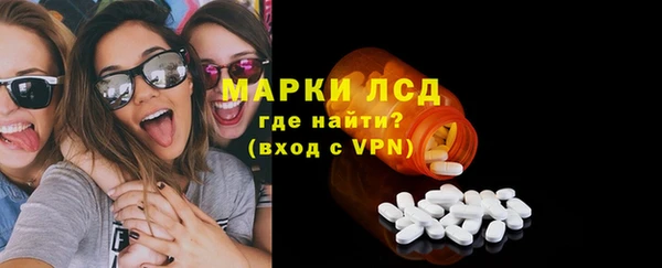 сатива Беломорск