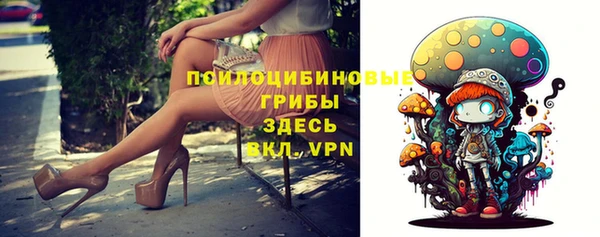скорость Тавда