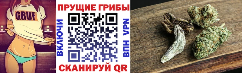 Псилоцибиновые грибы GOLDEN TEACHER  продажа наркотиков  Кировск 